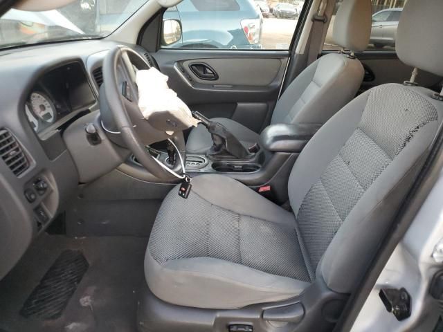 2005 Ford Escape XLT