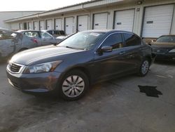 Honda Accord lx salvage cars for sale: 2010 Honda Accord LX