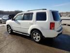 2011 Honda Pilot EXL