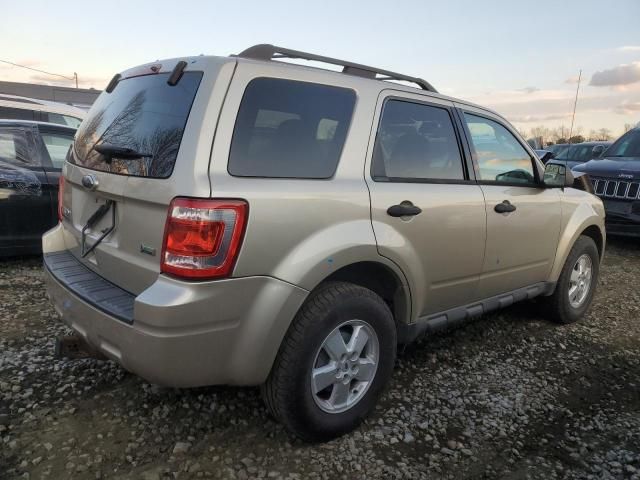 2010 Ford Escape XLT