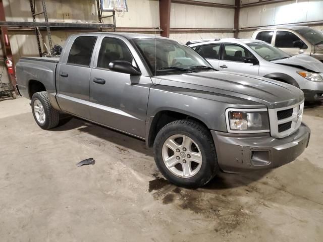 2011 Dodge Dakota SLT