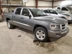 2011 Dodge Dakota SLT