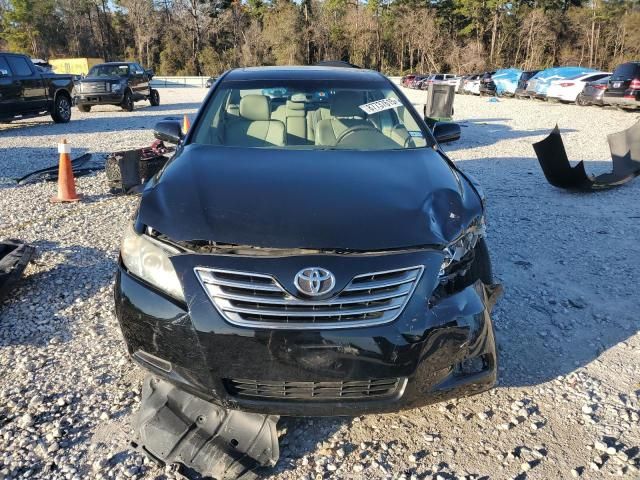 2009 Toyota Camry Hybrid