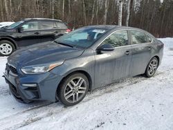 Salvage cars for sale at auction: 2019 KIA Forte EX