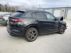 2022 Alfa Romeo Stelvio TI