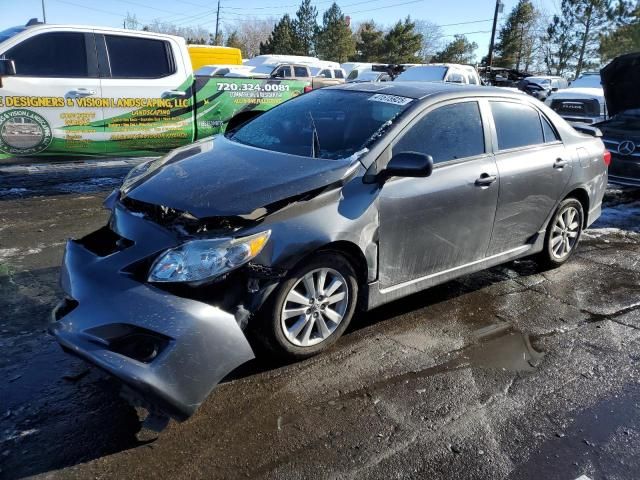 2010 Toyota Corolla Base