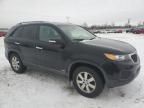 2013 KIA Sorento LX