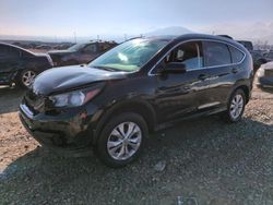 Honda salvage cars for sale: 2014 Honda CR-V EXL