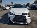 2024 Lexus NX 350H Base