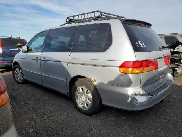 2004 Honda Odyssey EXL