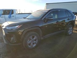 Salvage cars for sale at Rocky View County, AB auction: 2023 Toyota Rav4 XLE