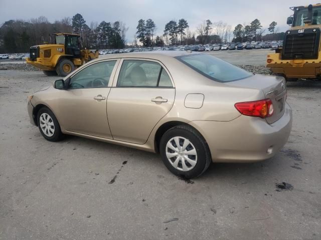 2010 Toyota Corolla Base