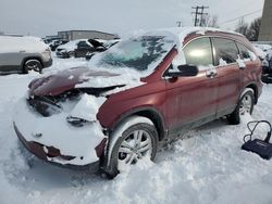 Honda salvage cars for sale: 2010 Honda CR-V EX