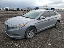 Hyundai Sonata salvage cars for sale: 2016 Hyundai Sonata SE