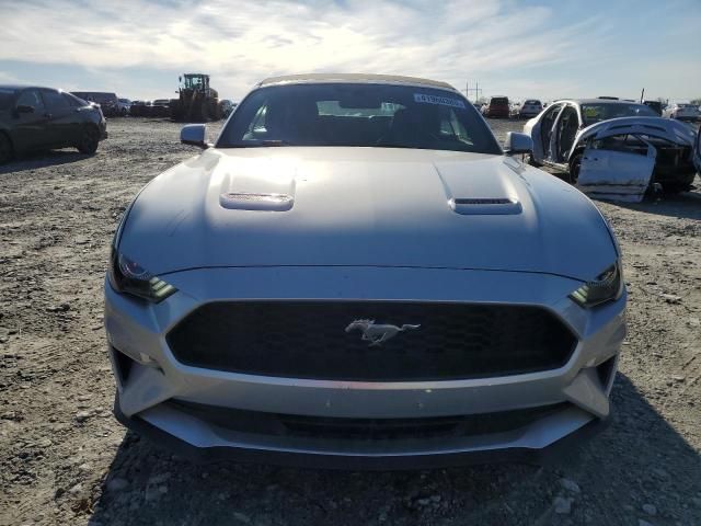 2019 Ford Mustang