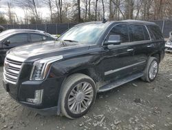 Cadillac salvage cars for sale: 2018 Cadillac Escalade Luxury