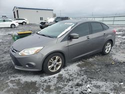 Copart select cars for sale at auction: 2014 Ford Focus SE