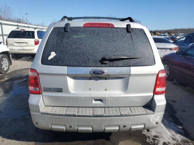 2010 Ford Escape Limited