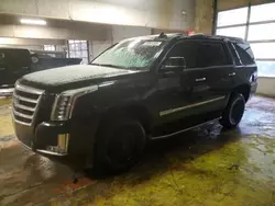 Lotes con ofertas a la venta en subasta: 2016 Cadillac Escalade Luxury