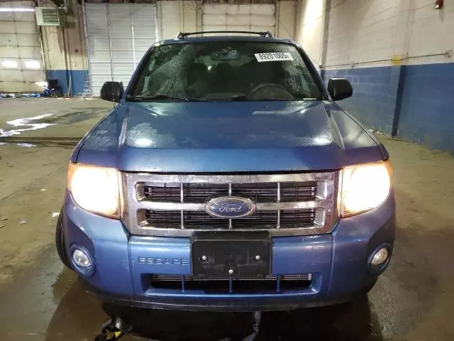 2009 Ford Escape XLT