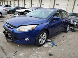 Salvage cars for sale at Louisville, KY auction: 2012 Ford Focus SE