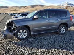 Salvage cars for sale at Reno, NV auction: 2013 Lexus GX 460