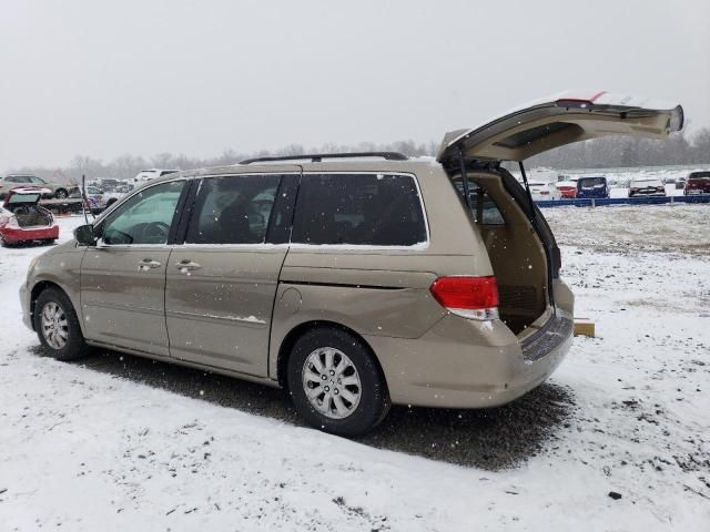 2008 Honda Odyssey EXL