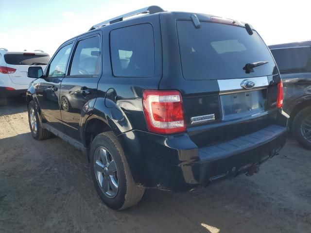 2009 Ford Escape Limited