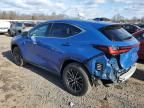 2023 Lexus NX 350