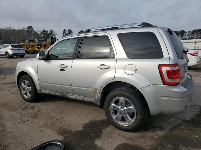 2010 Ford Escape Limited