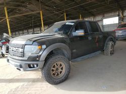 Ford Vehiculos salvage en venta: 2013 Ford F150 SVT Raptor