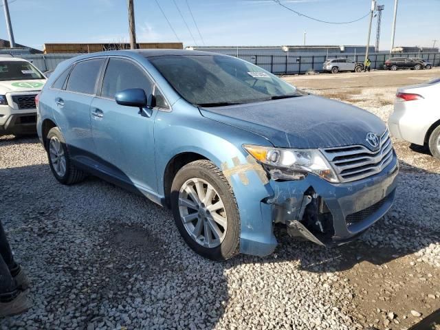 2010 Toyota Venza