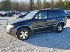 2004 Ford Escape XLT