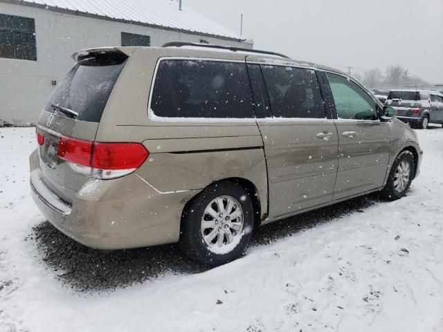 2008 Honda Odyssey EXL