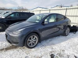 Salvage cars for sale from Copart Albany, NY: 2023 Tesla Model Y