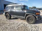 2007 Toyota FJ Cruiser