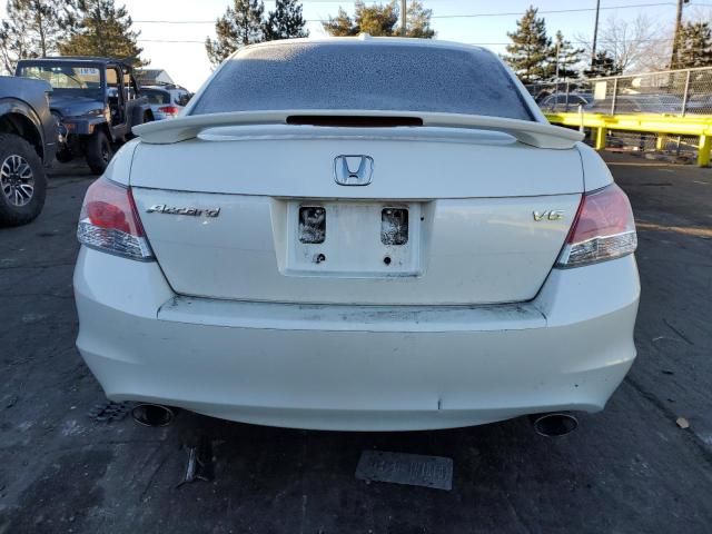 2010 Honda Accord EXL