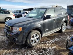 Salvage cars for sale from Copart Brighton, CO: 2008 Ford Escape Limited