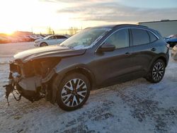 Salvage cars for sale from Copart Rocky View County, AB: 2020 Ford Escape SEL