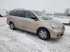 2005 Honda Odyssey EXL