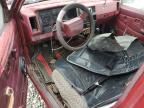 1993 Nissan Truck Short Wheelbase