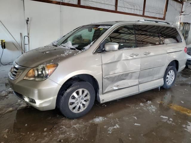 2008 Honda Odyssey EXL