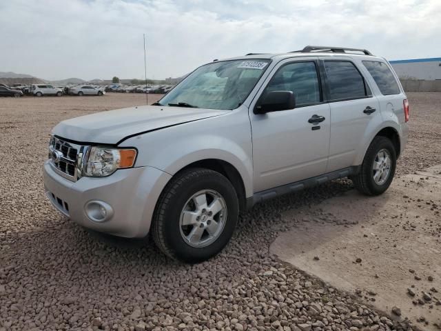 2011 Ford Escape XLT