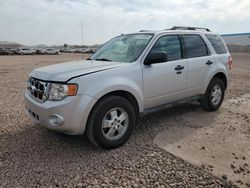 Salvage cars for sale at Phoenix, AZ auction: 2011 Ford Escape XLT