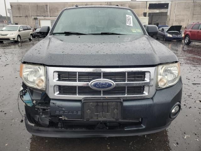 2009 Ford Escape XLT