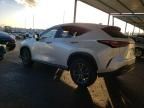 2024 Lexus NX 350H Base