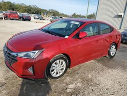 Salvage cars for sale at Apopka, FL auction: 2019 Hyundai Elantra SEL