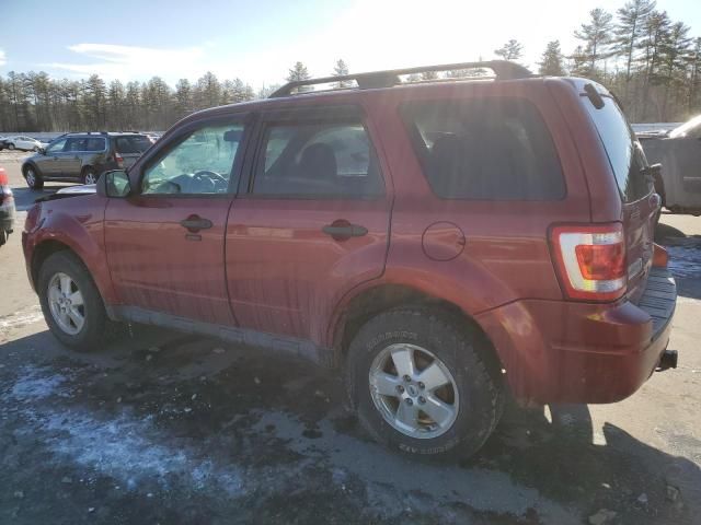 2012 Ford Escape XLT