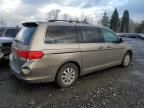 2009 Honda Odyssey EXL