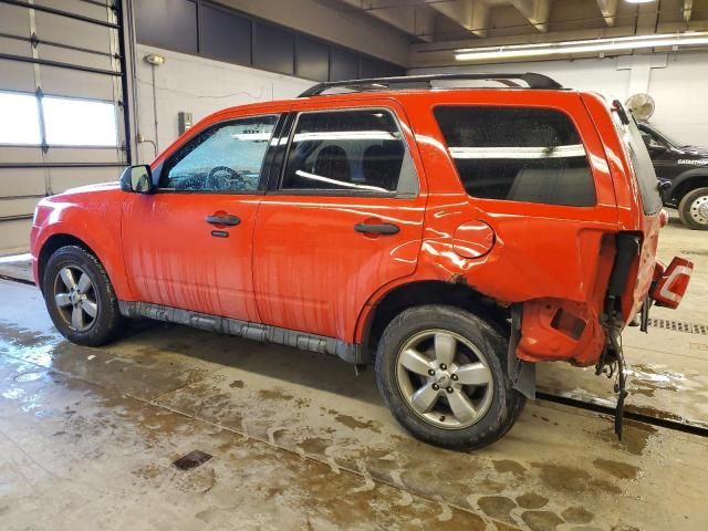 2009 Ford Escape XLT